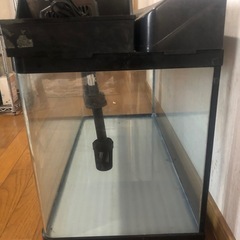 ①  75cm水槽の画像