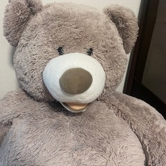 コストコ？くまのぬいぐるみの画像