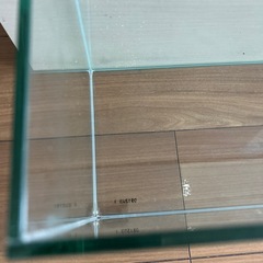 まだまだ美品　スリム　ガラス　水槽　60cm 高さ25cm 奥行き20cmの画像