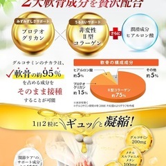 グルコサミン　サプリメント　の画像