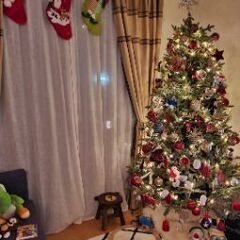 クリスマスツリー+オーナメント+ライト+スターの画像