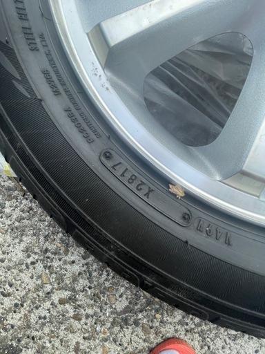 キャンセル出た為もう一度出品！本日中希望