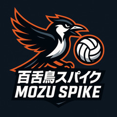 🏐【百舌鳥スパイク】メンバー募集
