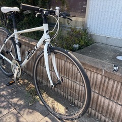 ジャイアント　エスケープ　Sサイズの画像