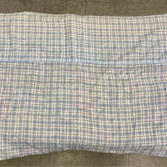 ◆秋風に。中古肌掛け布団・綿100％のガーゼカバー付き　保護犬などにの画像