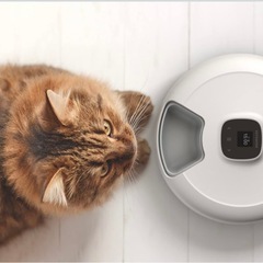 自動給餌器　猫　小型犬の画像