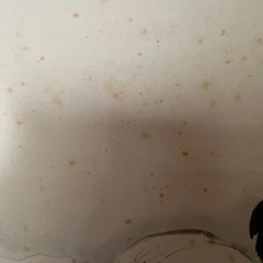 川合玉堂　かけじく　掛け軸の画像