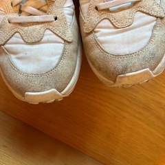 ash スニーカー 24の画像