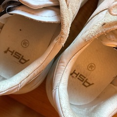 ash スニーカー 24の画像
