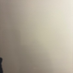 さらに値下げ！！スクリーン　持ち運びの画像