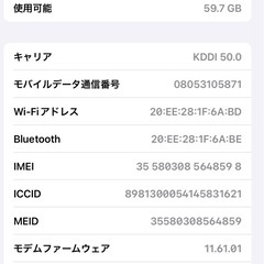 iPad第5世代128 GBセルラーモデルの画像