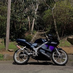 NS-1の画像