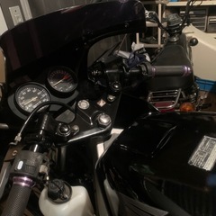 NS-1の画像