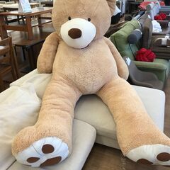 ★リユースのサカイ春日部店★KJ11794  くま　ぬいぐるみ クリーニング済みの画像