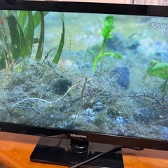 Hisense 24型ハイビジョン液晶テレビの画像