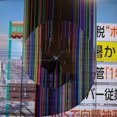 REGZA液晶テレビ55型液晶割れの物　の画像