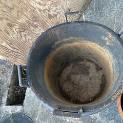 鉢の画像