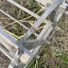 アンティーク　ころがし　田植え用の画像