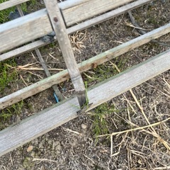 アンティーク　ころがし　田植え用の画像