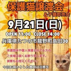 譲渡会