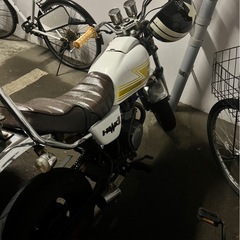 エイプの画像