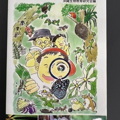 沖縄昆虫の本の画像