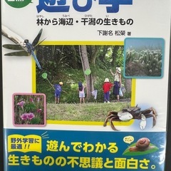沖縄昆虫の本の画像