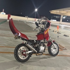 
エイプの画像