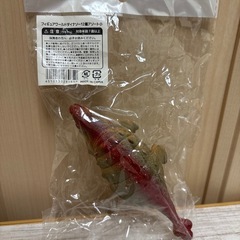 新品未使用 恐竜 きょうりゅう❁¨̮の画像