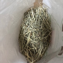 チモシーの画像