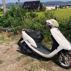 ホンダ　4サイクルディオ  AF62   書類付レストアベース車の画像