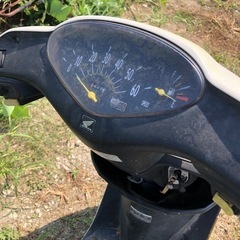ホンダ　4サイクルディオ  AF62   書類付レストアベース車の画像
