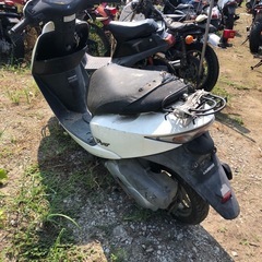 ホンダ　4サイクルディオ  AF62   書類付レストアベース車の画像