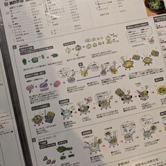 ABCクッキング　2007年〜　レシピ　30枚の画像