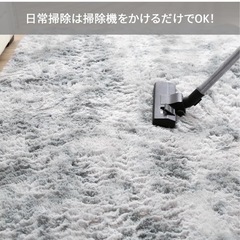 シャギーカーペット　絨毯の画像