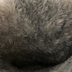 シャギーカーペット　絨毯の画像