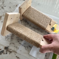猫　ステップ　階段の画像