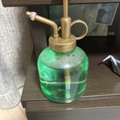 サボテン（華刺丸）の画像