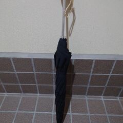 【日傘(布地)】の画像