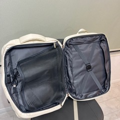 一度使用　リュック　の画像