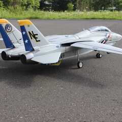 F-14　Ｔｏｍｃａｔ（トムキャット）　80mmＴｗｉｎの画像