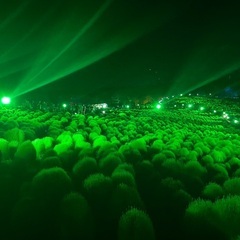 ウォーキング仲間！