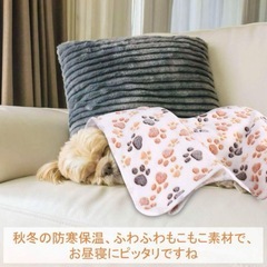 犬猫　薄手ブランケット　１０枚入り②の画像