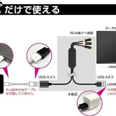 カシムラ NKD-226 RCA変換ケーブルの画像