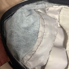 ザノースフェイス　リュックサック W Never Stop Daypackの画像