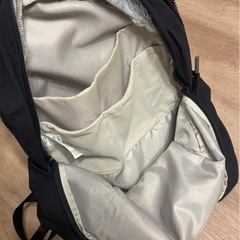 ザノースフェイス　リュックサック W Never Stop Daypackの画像