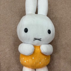 ミッフィー2点セットの画像