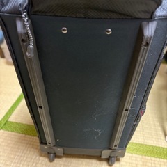 キャリーバッグの画像
