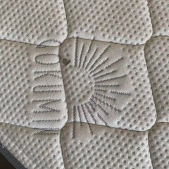 べっとベットの画像
