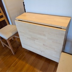 IKEA　NORDEN ノールデン ゲートレッグテーブル　椅子2脚セットの画像